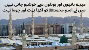 12 RABI UL AWAL QUOTES IN URDU