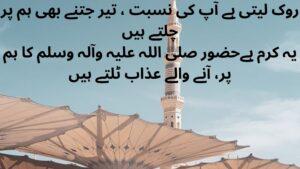12 RABI UL AWAL QUOTES IN URDU