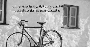 friendship poetry in urdu