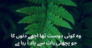 friendship poetry in urdu