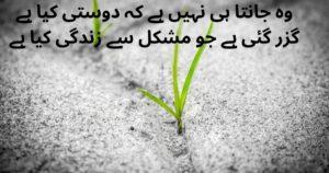 friendship poetry in urdu