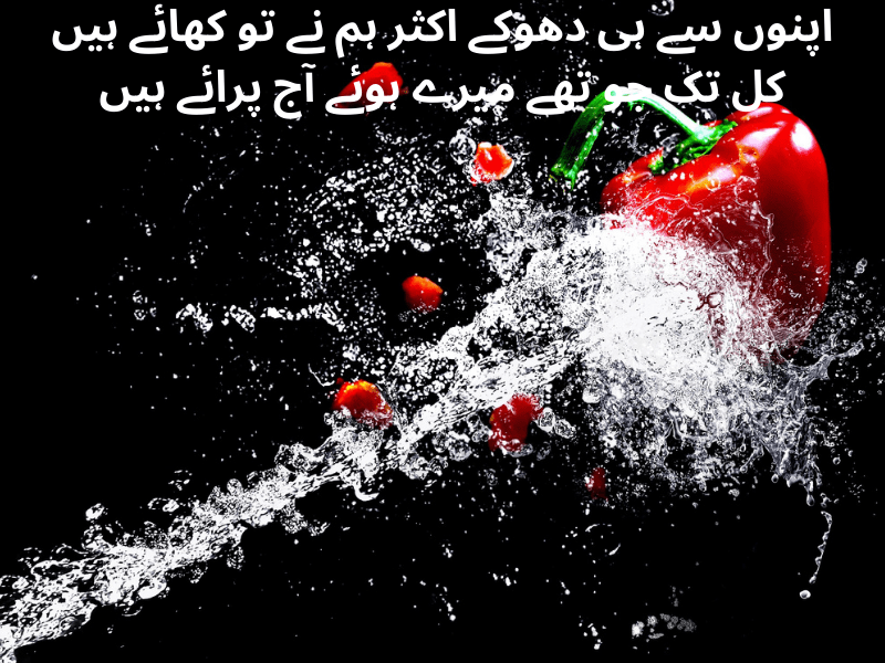 best urdu quotes for dp