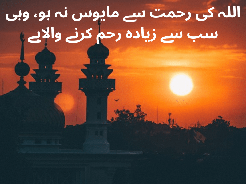best urdu quotes for dp