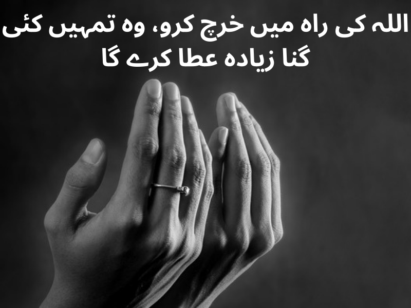 best urdu quotes for dp