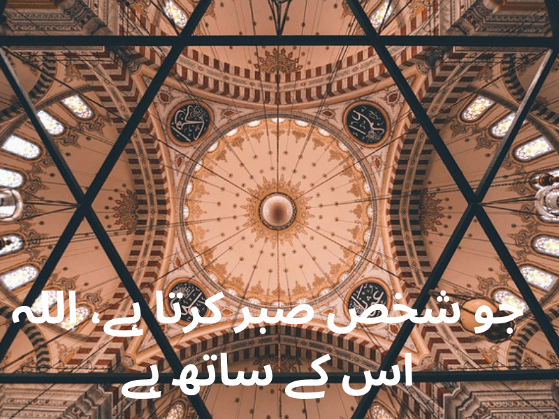 best urdu quotes for dp