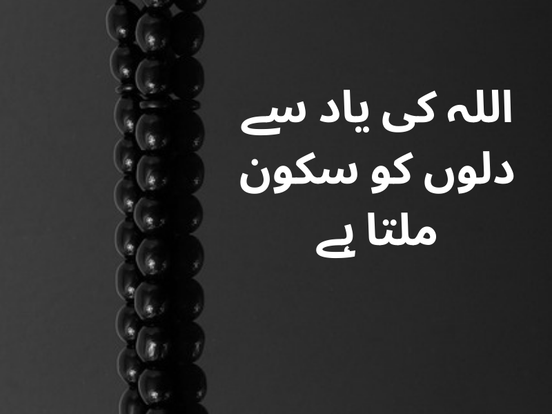 best urdu quotes for dp