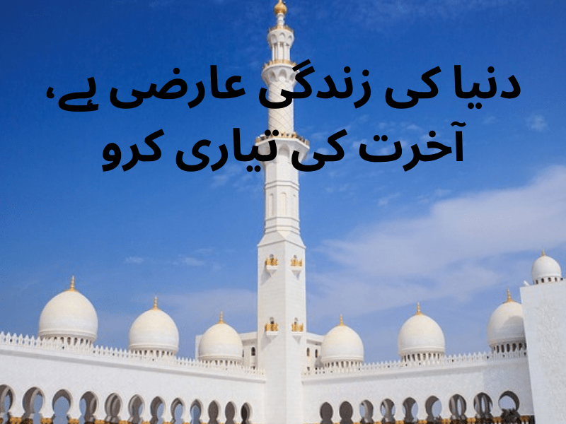 best urdu quotes for dp