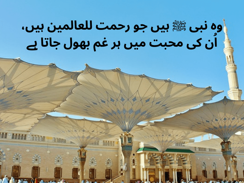 best urdu quotes for dp
