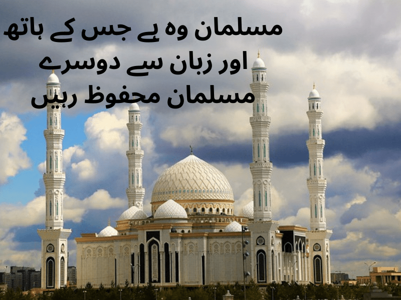 best urdu quotes for dp