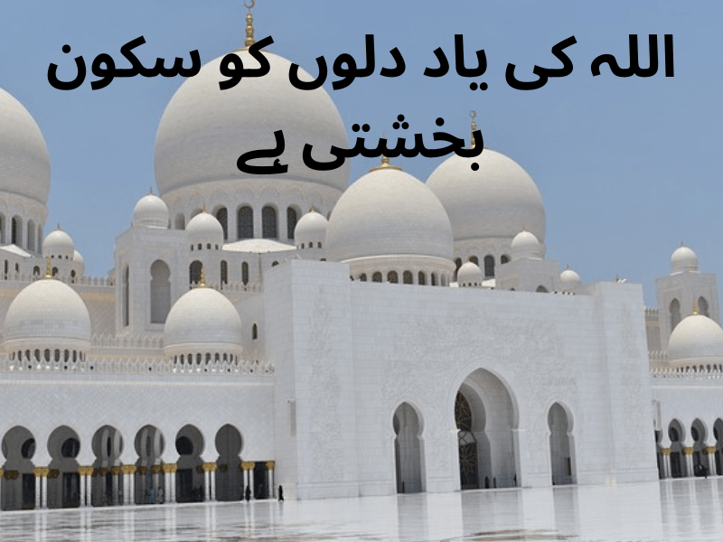 best urdu quotes for dp