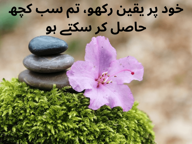 best urdu quotes for dp