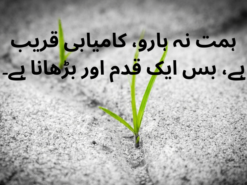best urdu quotes for dp