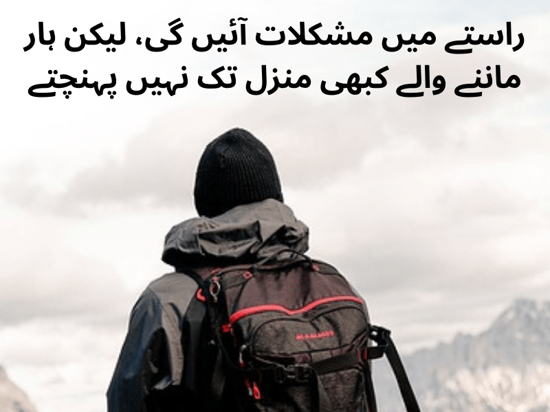 best urdu quotes for dp