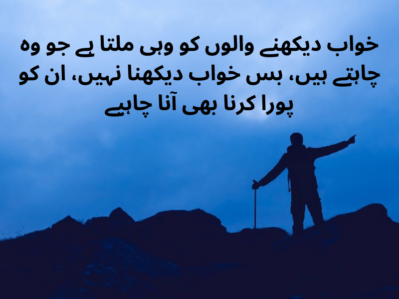 best urdu quotes for dp