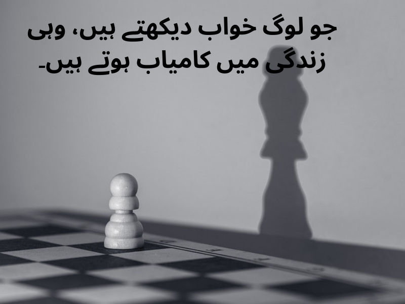 best urdu quotes for dp