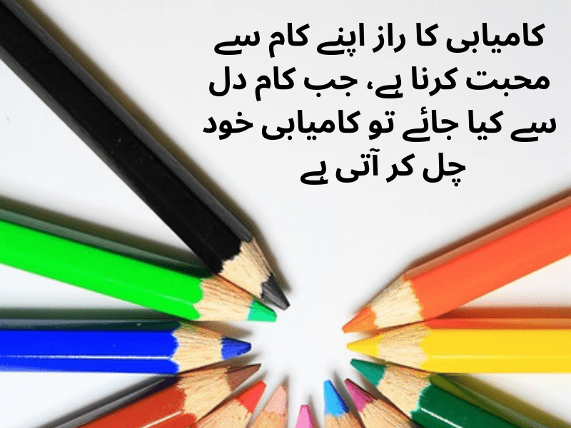 best urdu quotes for dp