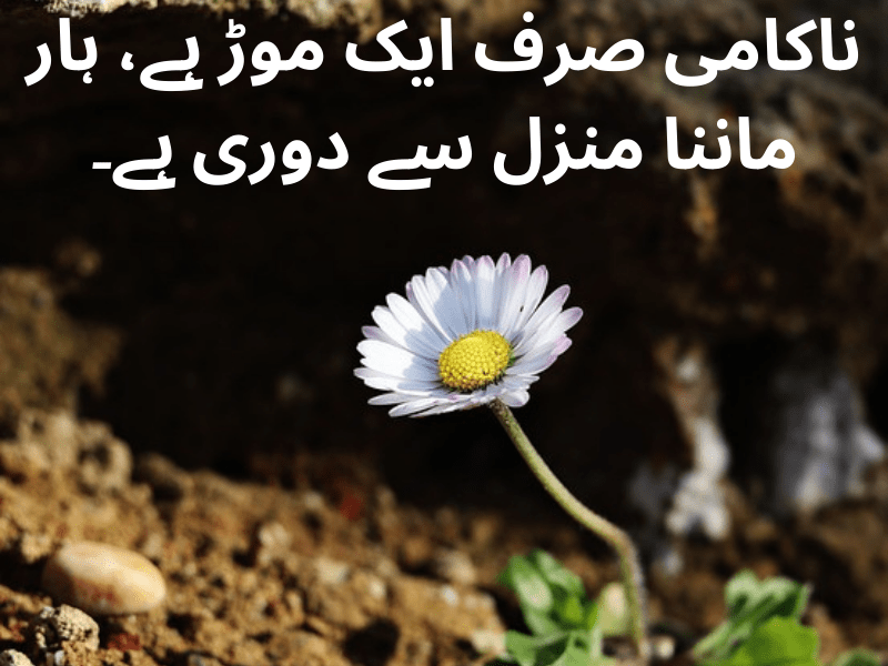 best urdu quotes for dp