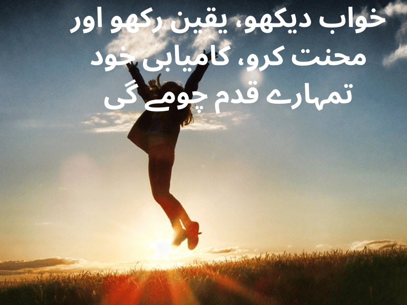 best urdu quotes for dp