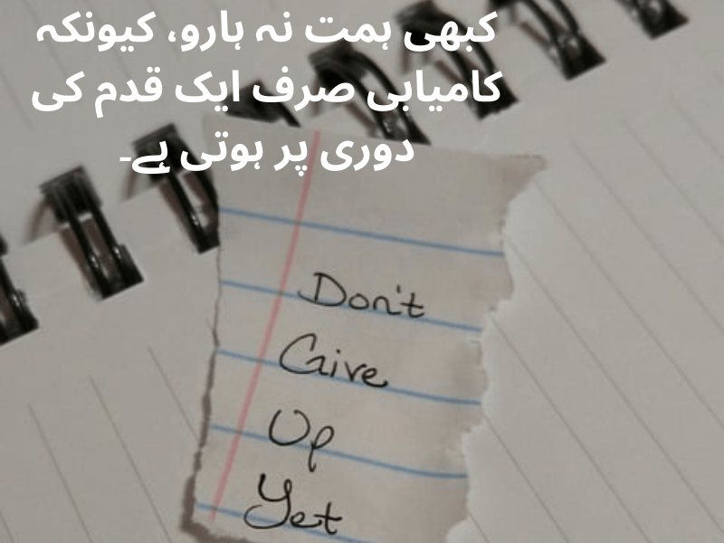 best urdu quotes for dp