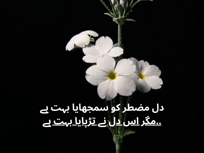 best urdu quotes for dp
