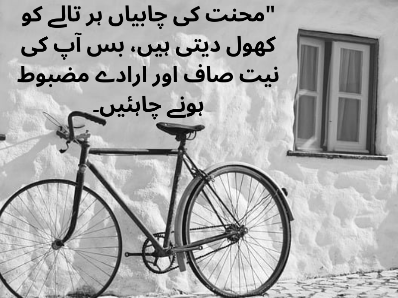 best urdu quotes for dp
