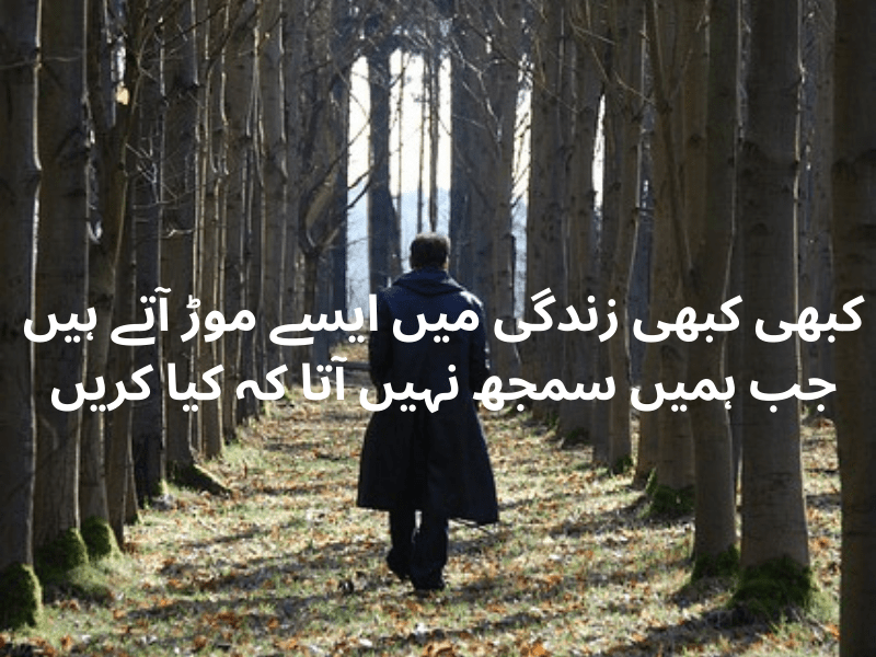 best urdu quotes for dp