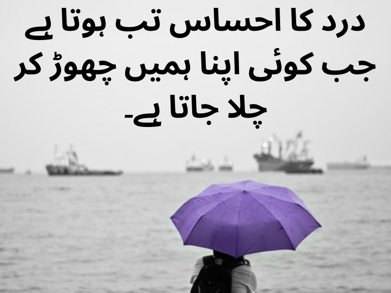 best urdu quotes for dp