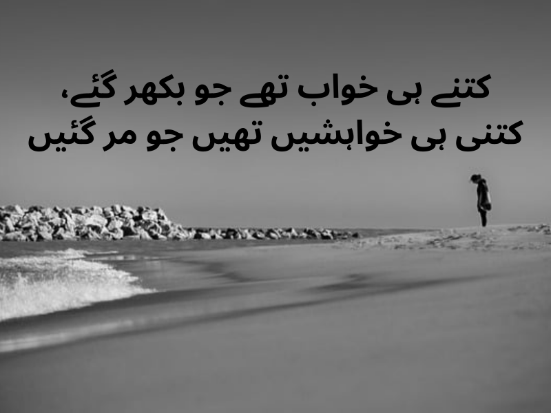 best urdu quotes for dp