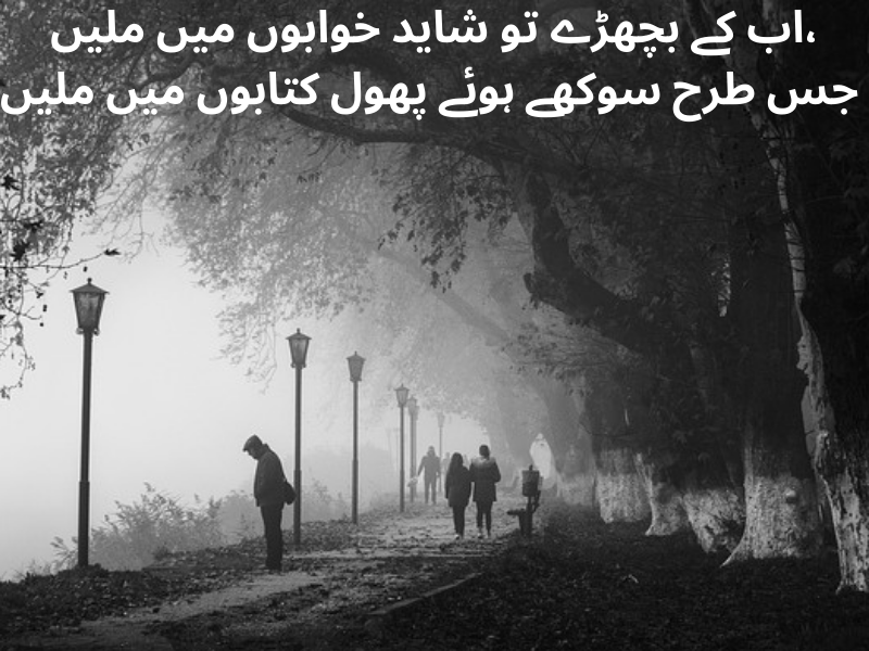 best urdu quotes for dp