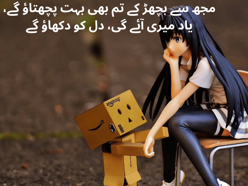 best urdu quotes for dp