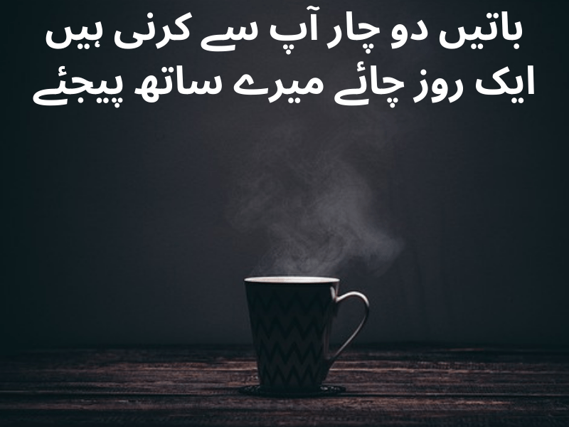 best urdu quotes for dp