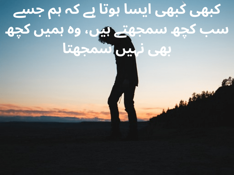 best urdu quotes for dp