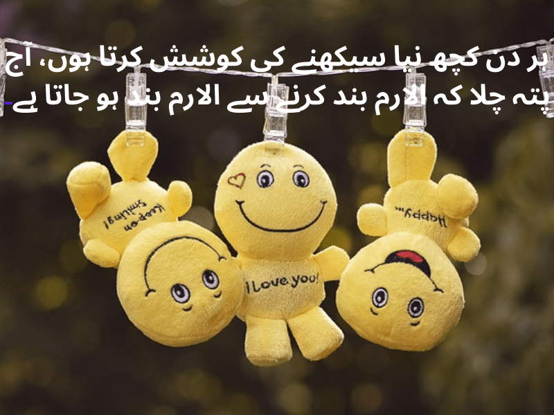 best urdu quotes for dp