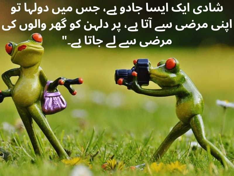 best urdu quotes for dp