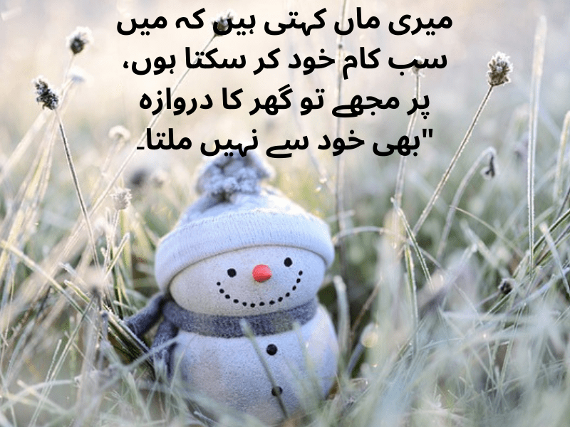 best urdu quotes for dp
