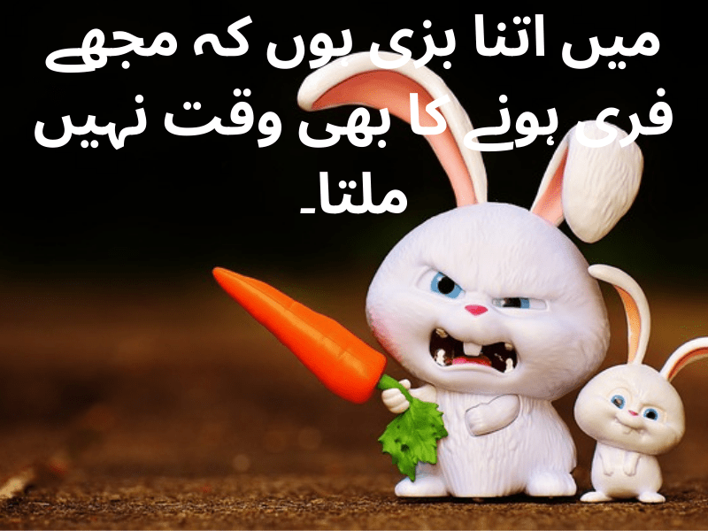 best urdu quotes for dp