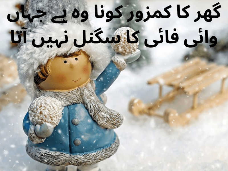 best urdu quotes for dp