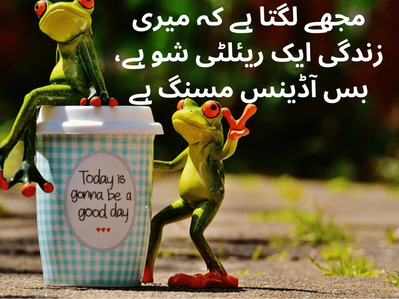 best urdu quotes for dp