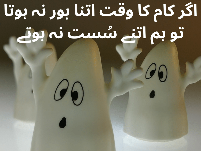 best urdu quotes for dp