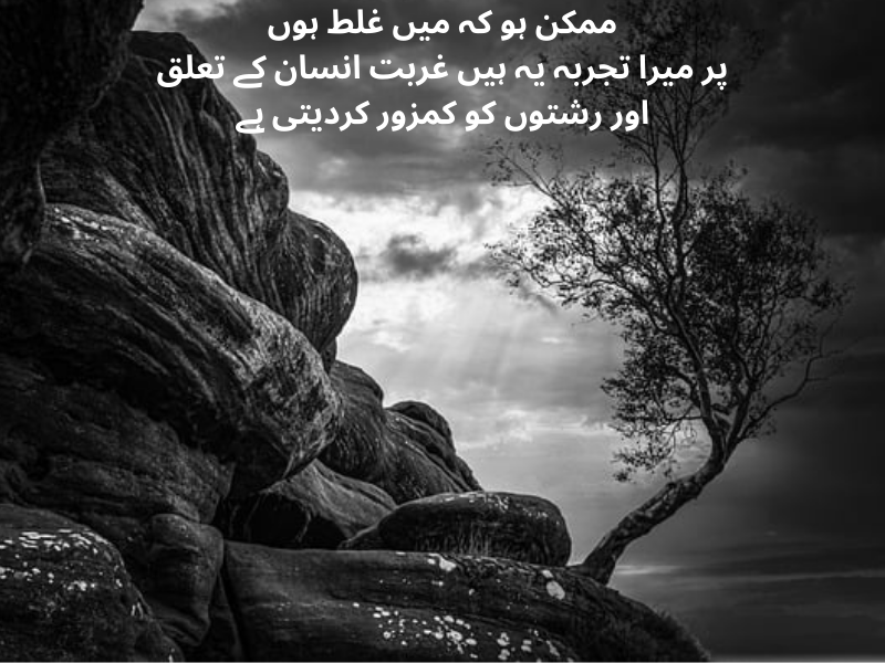 best urdu quotes for dp
