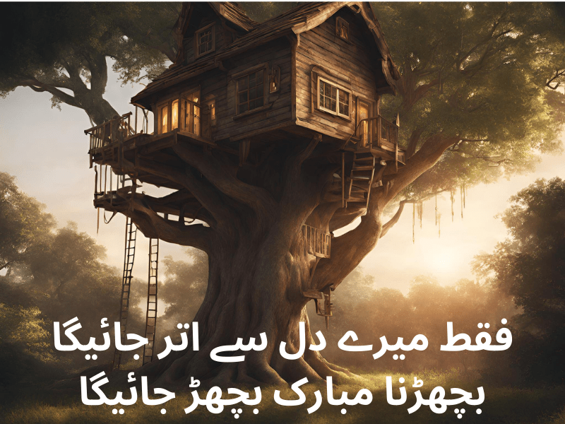 best-urdu-quotes-for-dp-8.