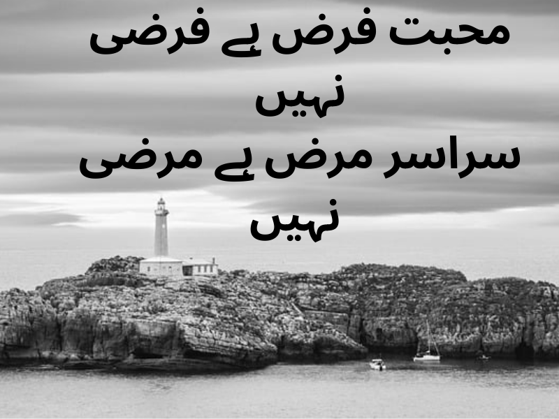 best urdu quotes for dp