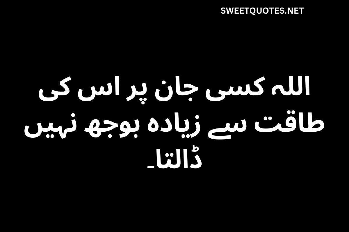Islamic Quotes About Life in Urdu