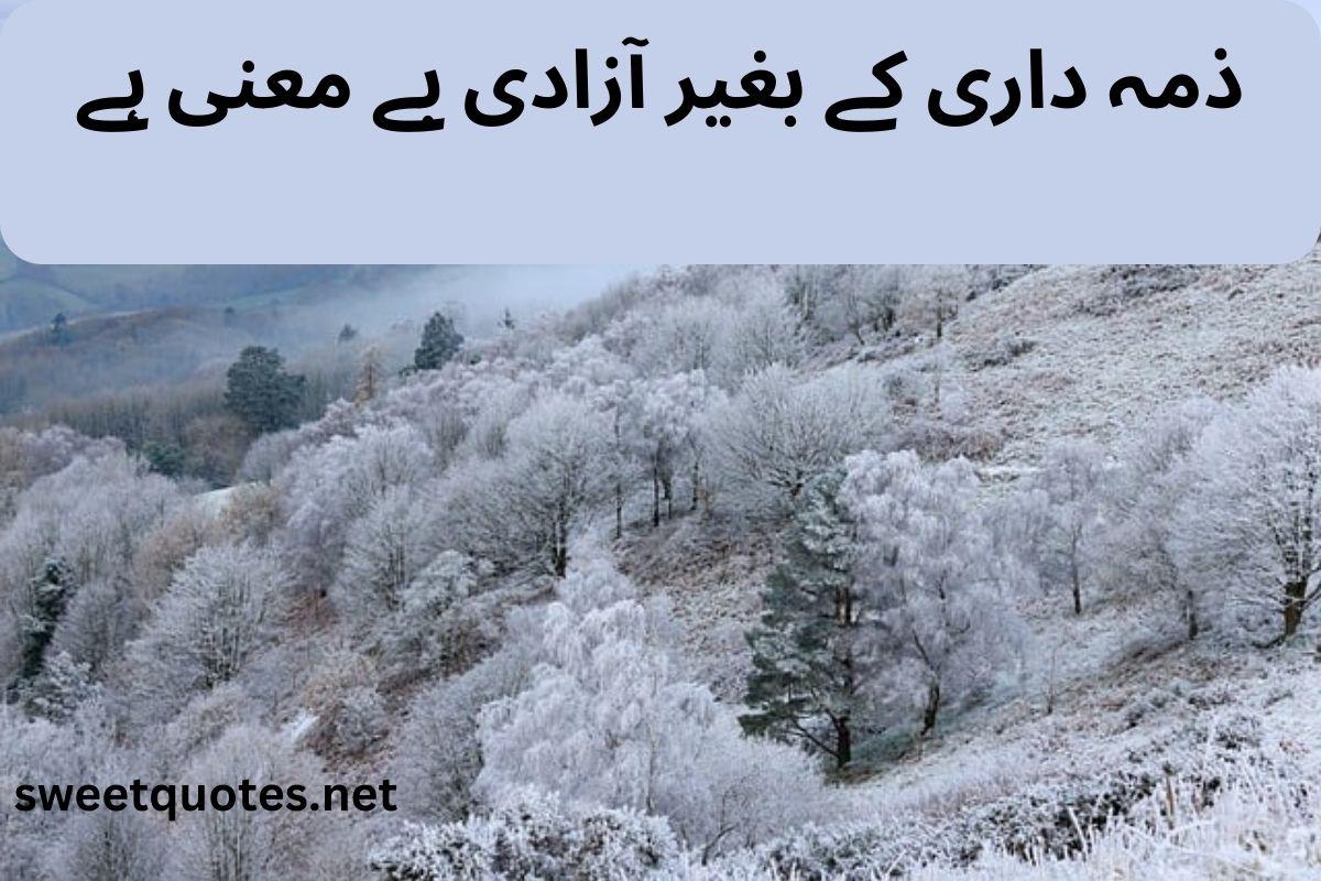 zimmedari quotes in urdu