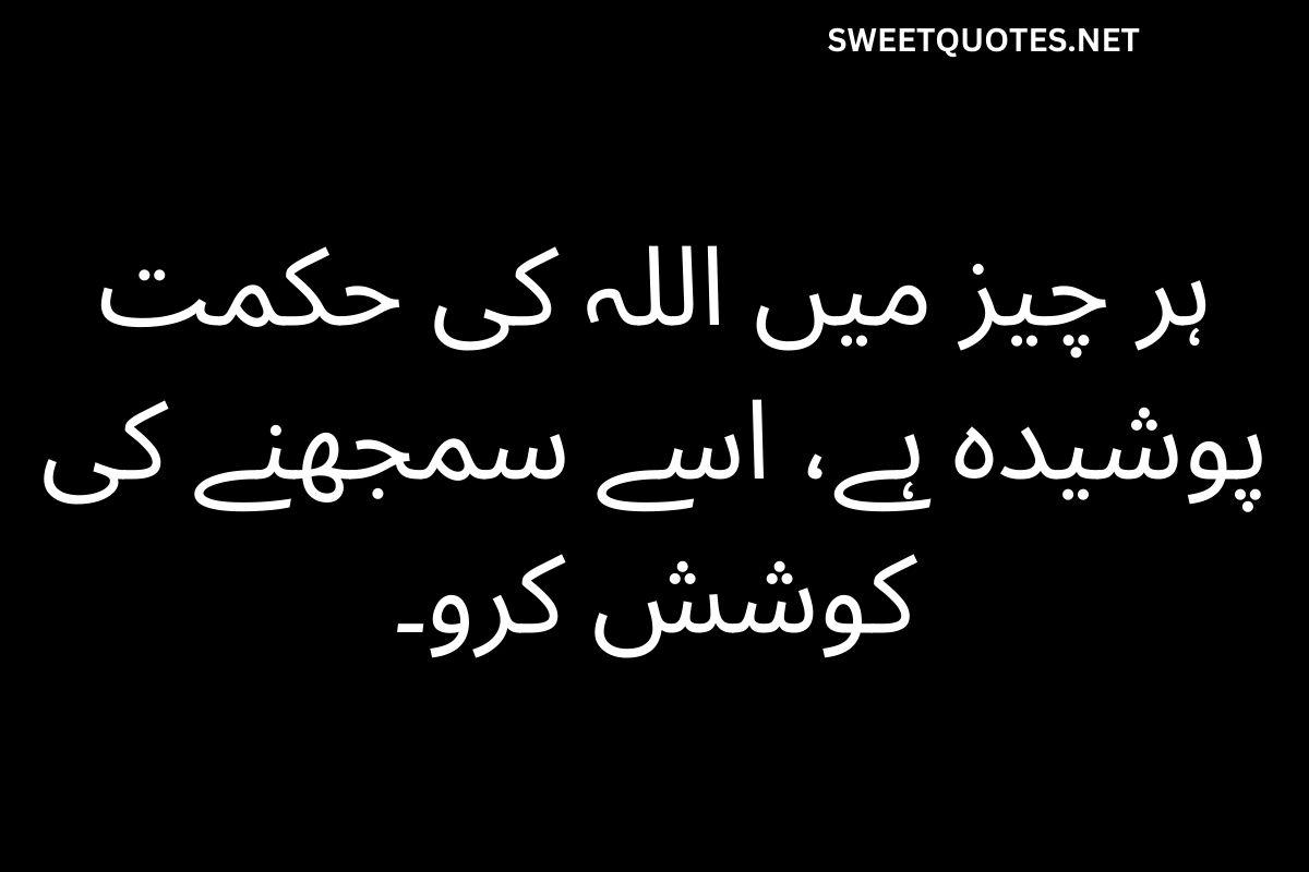 Islamic Quotes About Life in Urdu