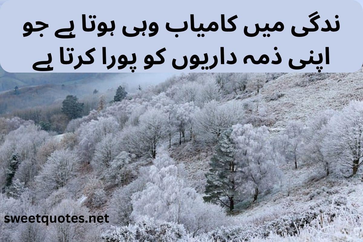 zimmedari quotes in urdu