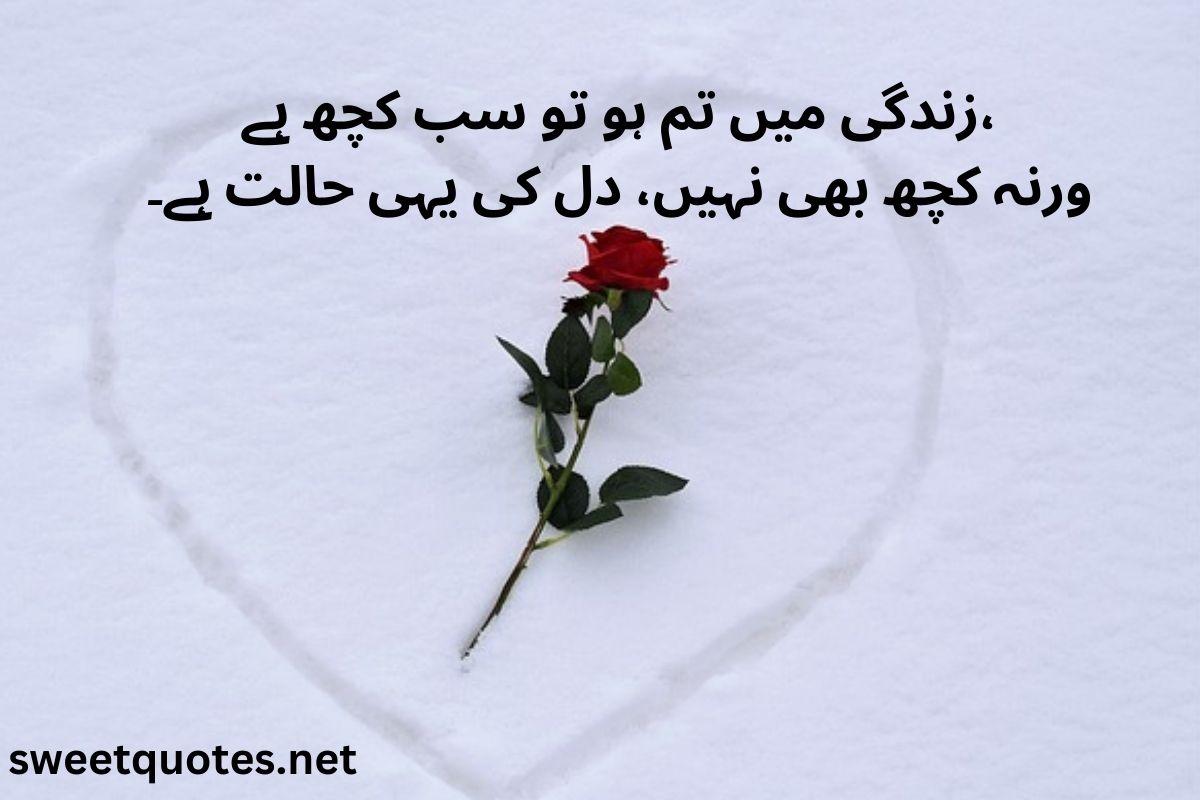 poetry in Urdu love