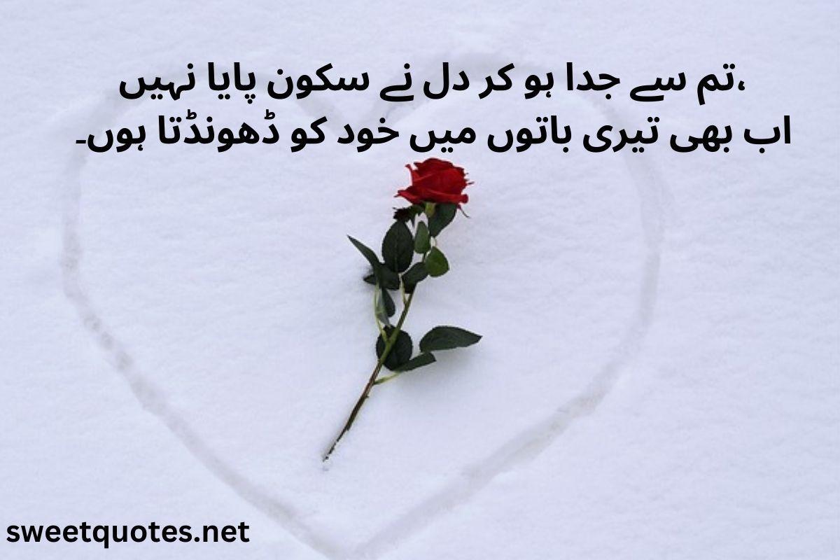 poetry in Urdu love