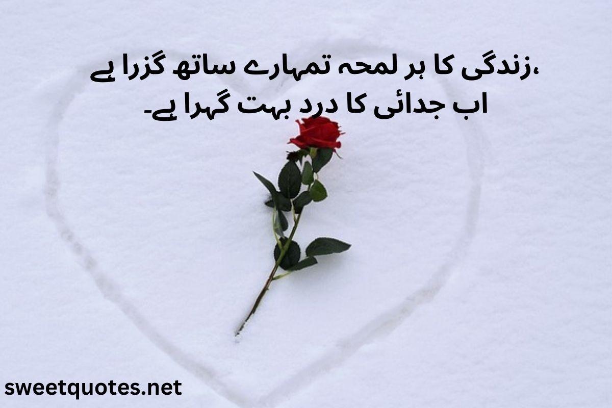 poetry in Urdu love