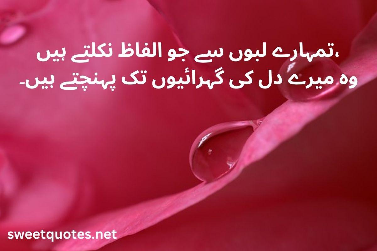 poetry in Urdu love